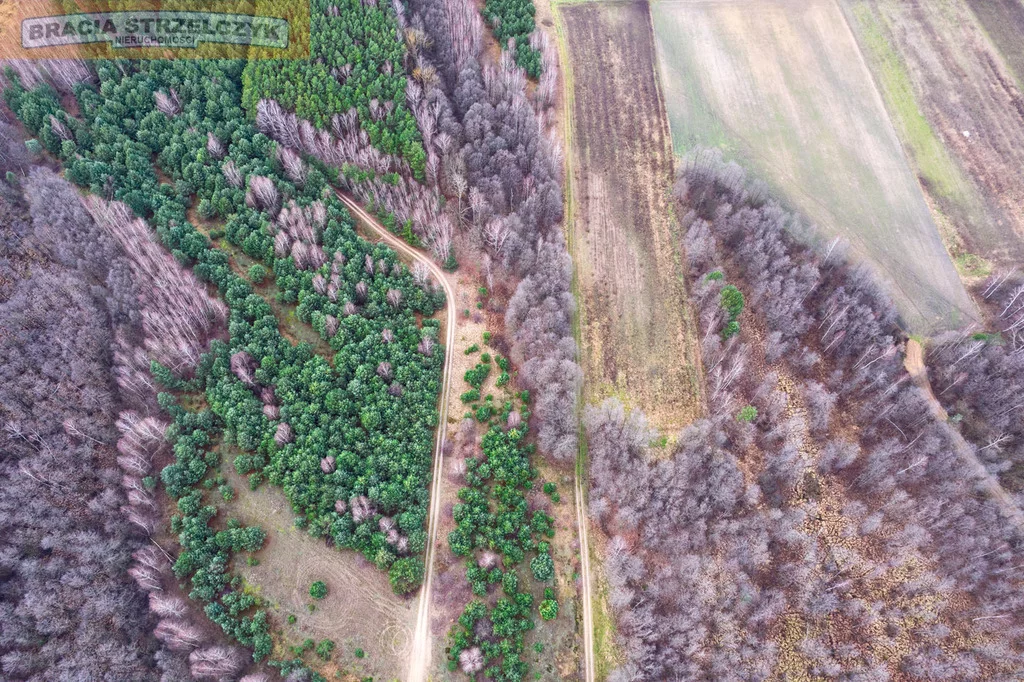 Działka 27 100,00 m², oferta nr , 278/9046/OGS, Zambski Kościelne