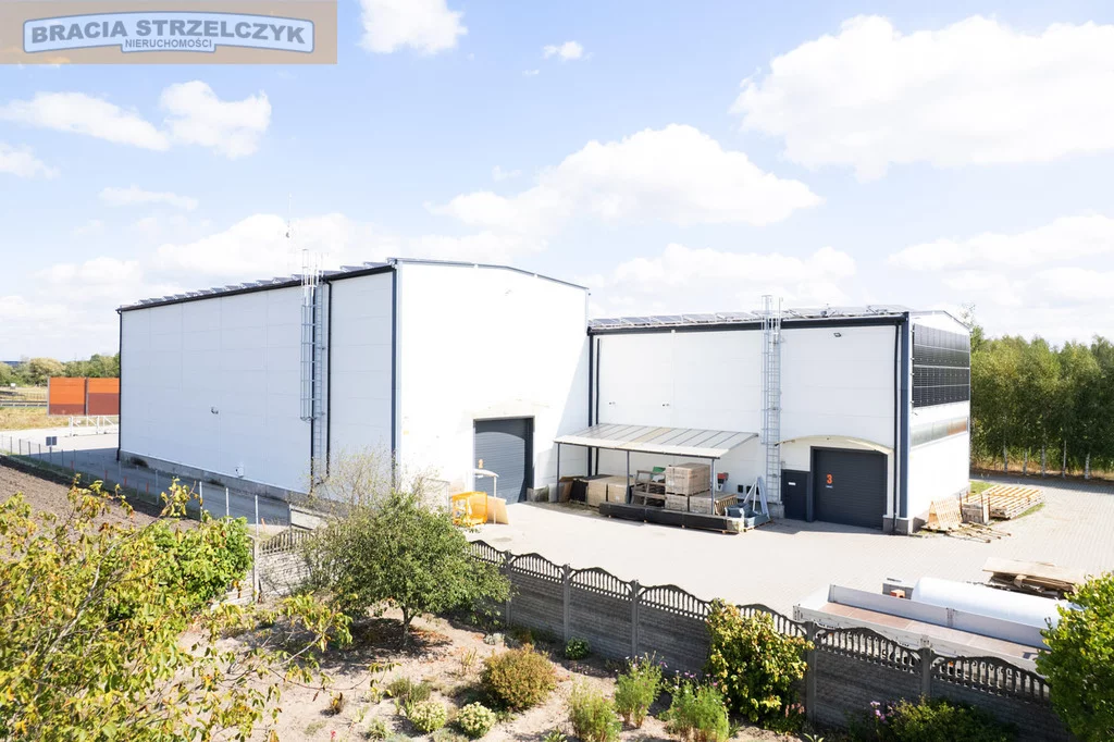 Magazyn 1 220,00 m², oferta nr , 38/9046/OOS, Lubiejew