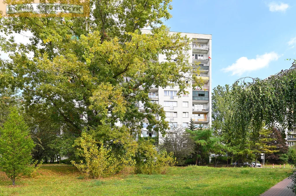 1 pokój, mieszkanie 30,90 m², piętro 6, oferta nr , 846/9046/OMS, Warszawa, Ursynów, Ursynów, Ferdynanda Magellana