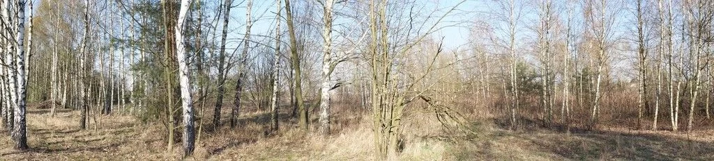 Działka 3 725,00 m², oferta nr , A-D717999, Stanisławów