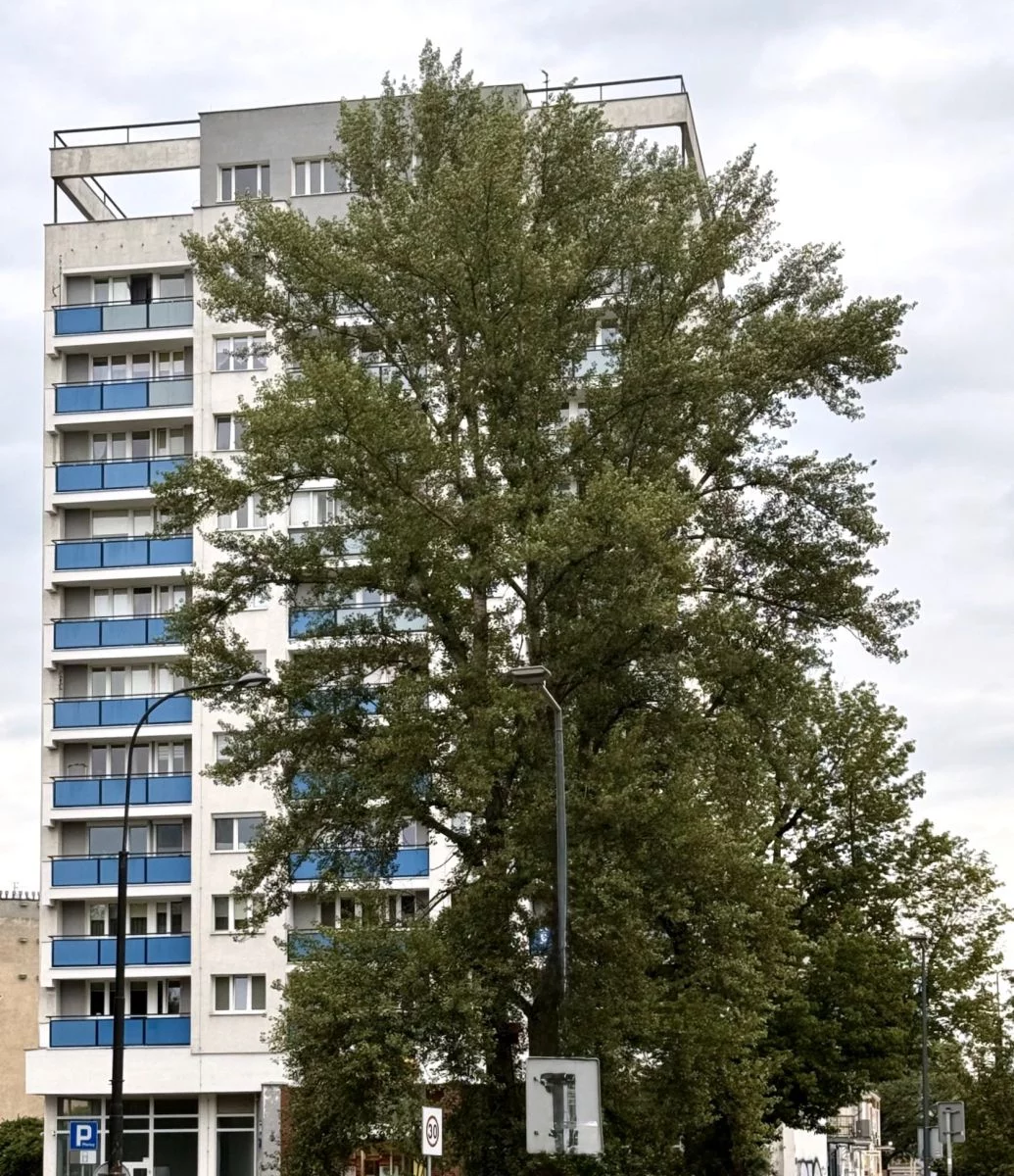 2 pokoje, mieszkanie 38,37 m², piętro 4, oferta nr , A-D124336, Warszawa, Praga Południe, Grochów, Bliska