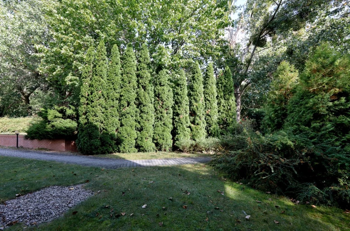 4 pokoje, mieszkanie 105,00 m², parter, oferta nr , A-D158142, Warszawa, Mokotów, Służew, Smyczkowa