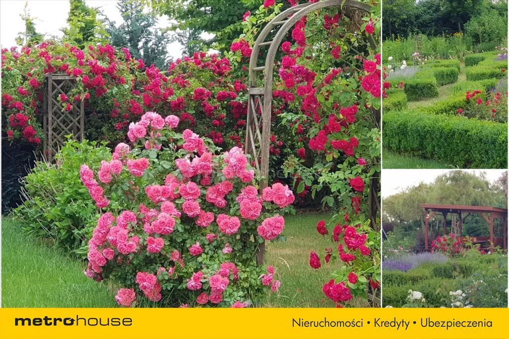 Dom 130,00 m², oferta nr , HARO557, Krojczyn