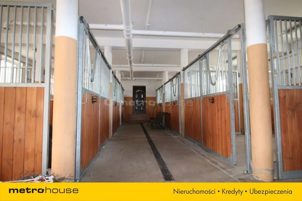 Dom i rezydencja 700,00 m², oferta nr , SDKOJY557, Przepitki