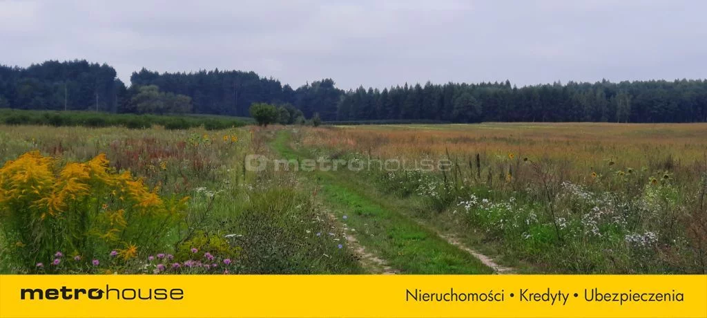 Dom 100,00 m², oferta nr , SDFIHO209, Franopol