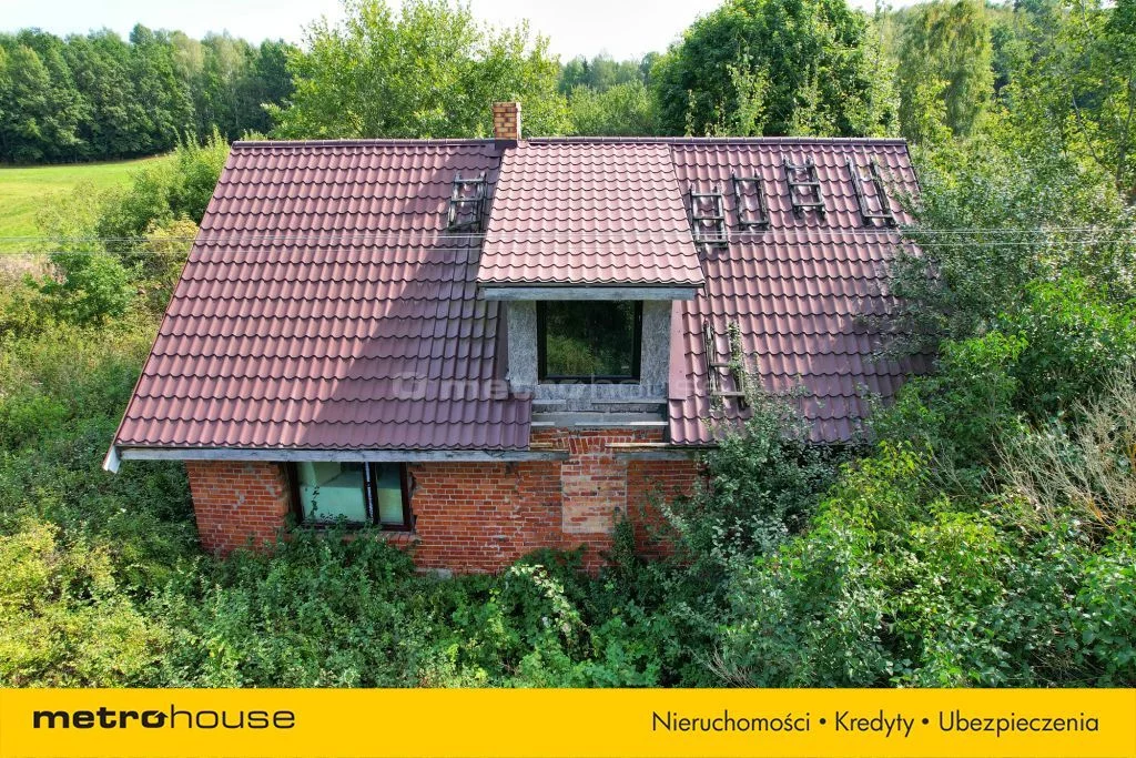 SDGOJU335 - zdjęcie nr 3
