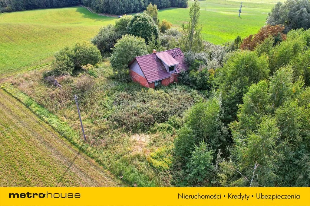 SDGOJU335 - zdjęcie nr 4