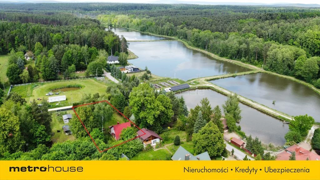 SDKUBY262 - zdjęcie nr 2