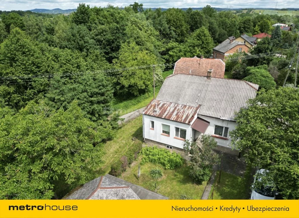 SDTIPO481 - zdjęcie nr 3