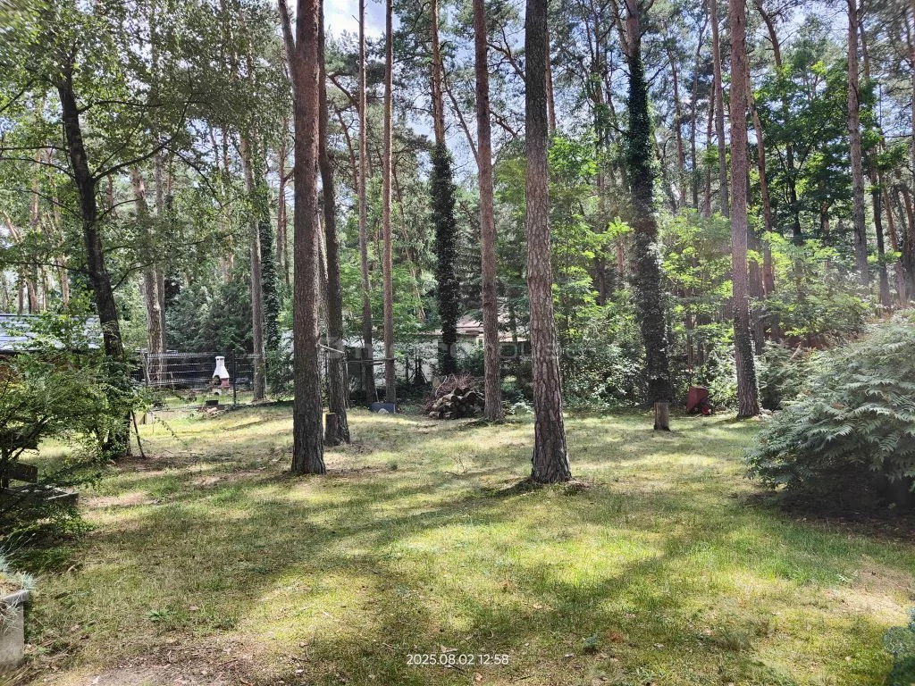 SDGUJA199 - zdjęcie nr 2