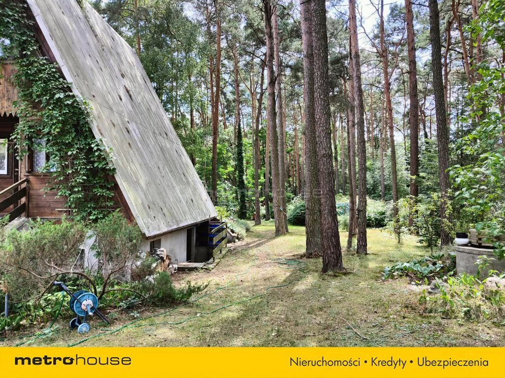 SDGUJA199 - zdjęcie nr 3