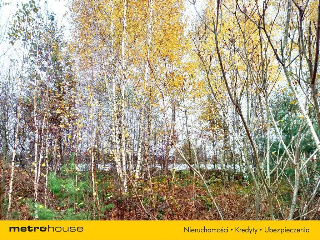 Dom 182,40 m², oferta nr , SDGULY323, Uchan Dolny