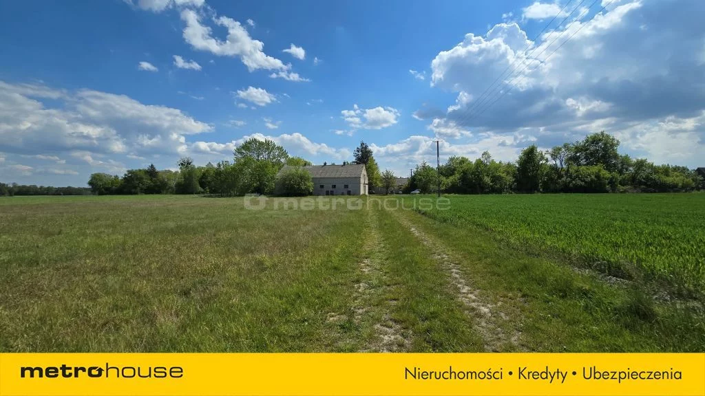SDVUJE883 - zdjęcie nr 3