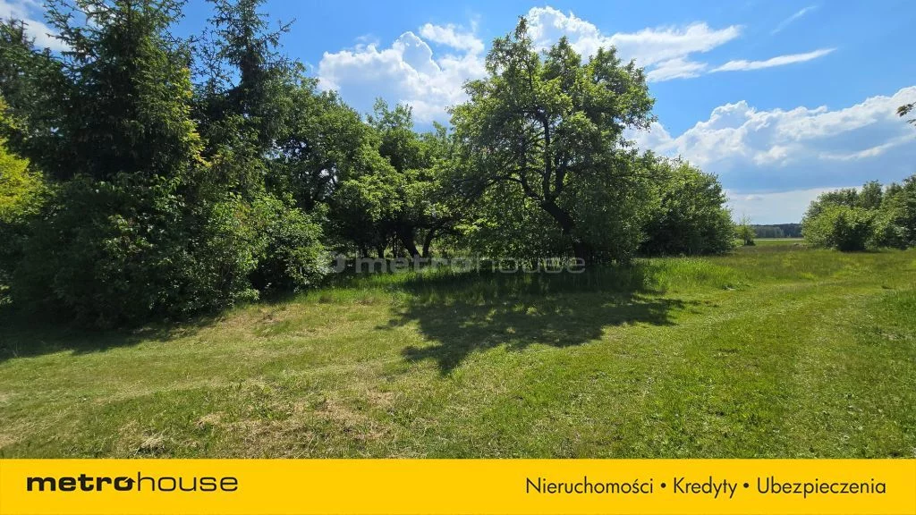 SDVUJE883 - zdjęcie nr 4