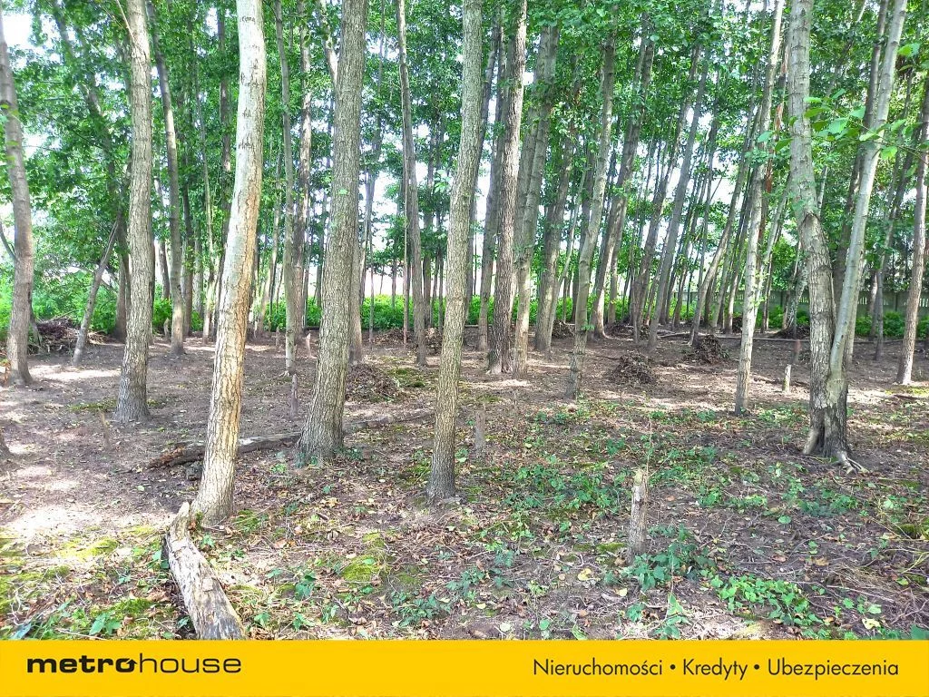 Dom 130,40 m², oferta nr , SDNULU611, Zielkowice