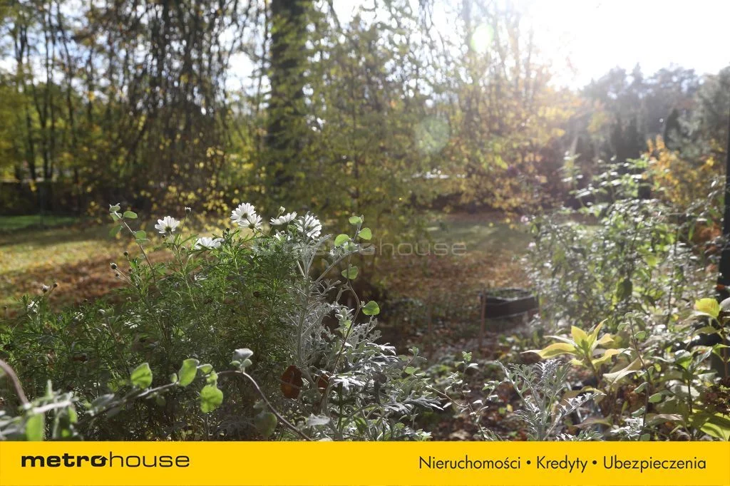 Dom 168,00 m², oferta nr , SDKERA400, Grotniki, Zielona