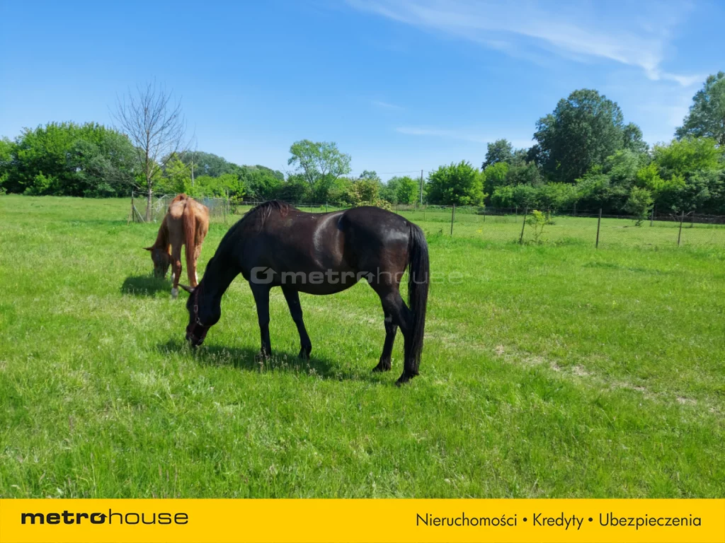 Dom i rezydencja 170,00 m², oferta nr , SDTEHU934, Łomianki, Brzegowa