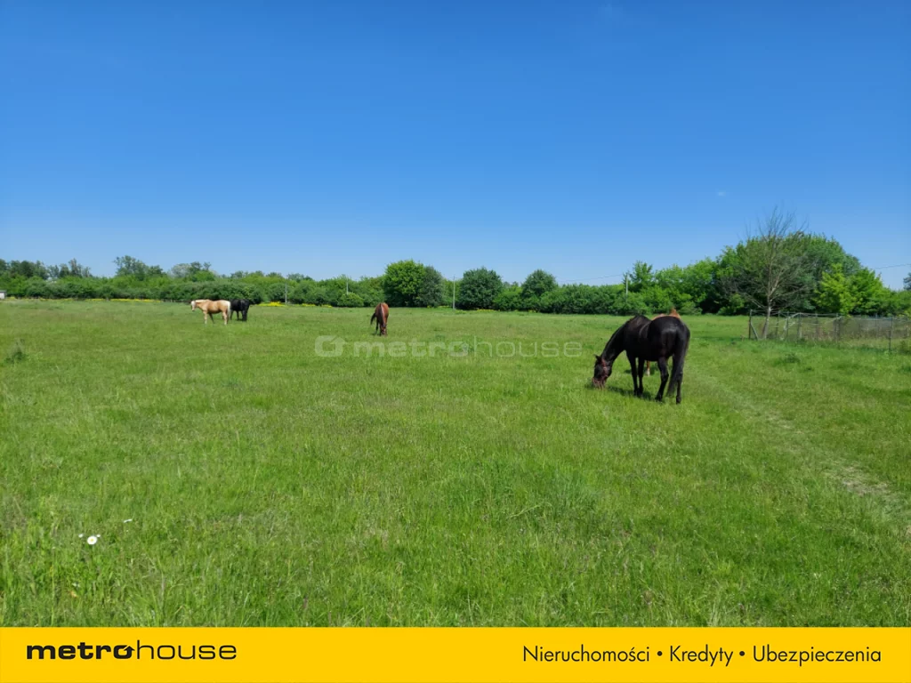 Dom i rezydencja 170,00 m², oferta nr , SDTEHU934, Łomianki, Brzegowa