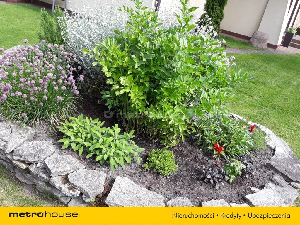 Dom 250,00 m², oferta nr , SDVOCE459, Dobiesz