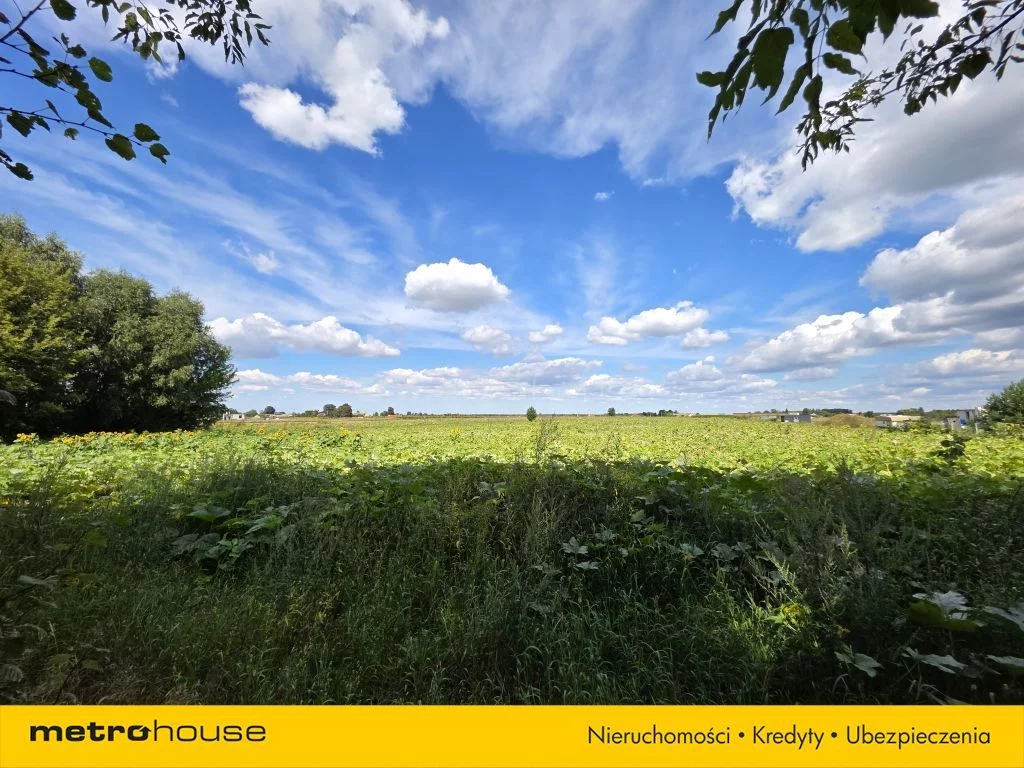 Dom 170,00 m², oferta nr , SDCEFI143, Grabanów-Kolonia