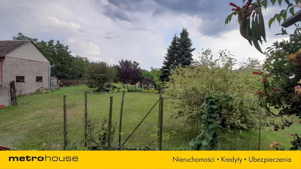 SDTOPI970 - zdjęcie nr 1