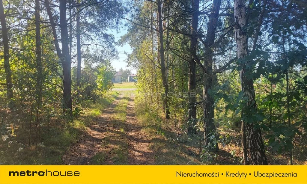 Dom 244,00 m², oferta nr , SDCOKY496, Nowa Mała Wieś