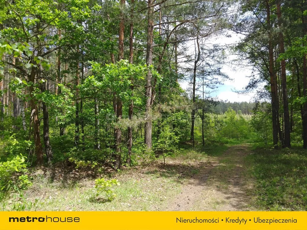 Dom 238,00 m², oferta nr , SDNUPU403, Żarki-Letnisko, Skrajna