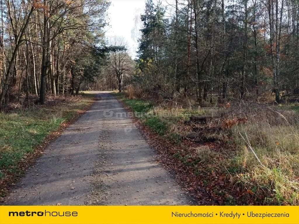 Dom 165,00 m², oferta nr , DINO885, Wodzierady
