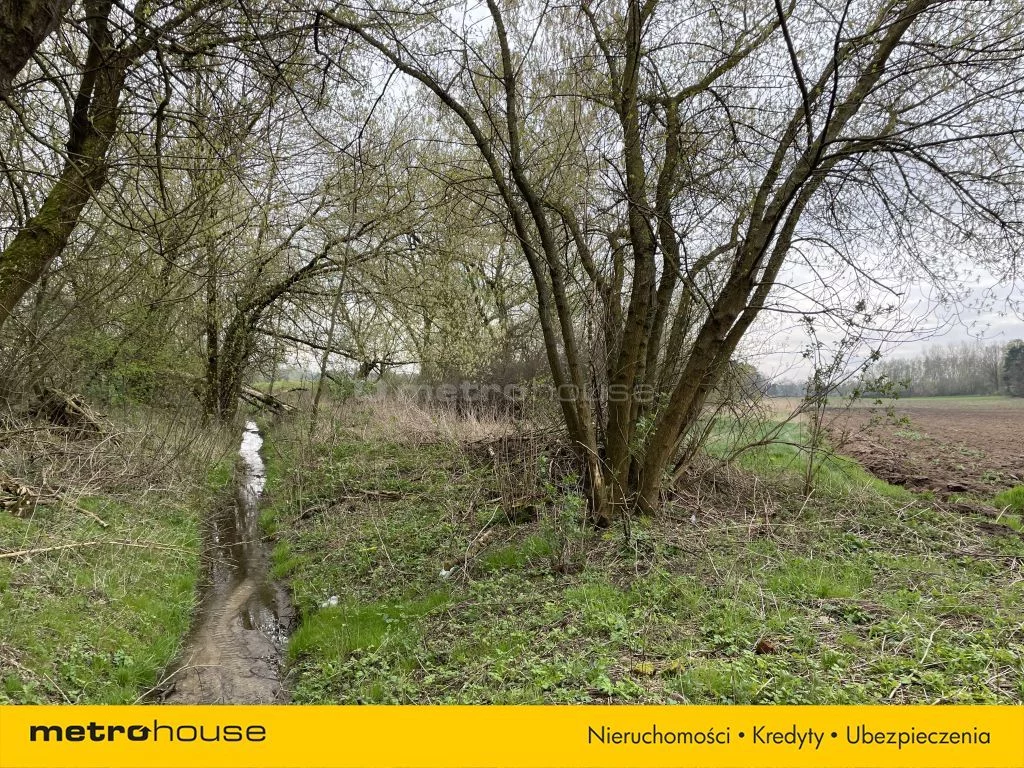 Dom 178,50 m², oferta nr , SDTAVI794, Wołucza