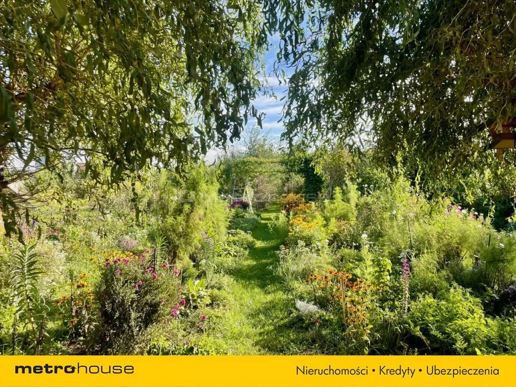 Dom 388,50 m², oferta nr , SDGOFU481, Krzepczów, Krzepczów Stary