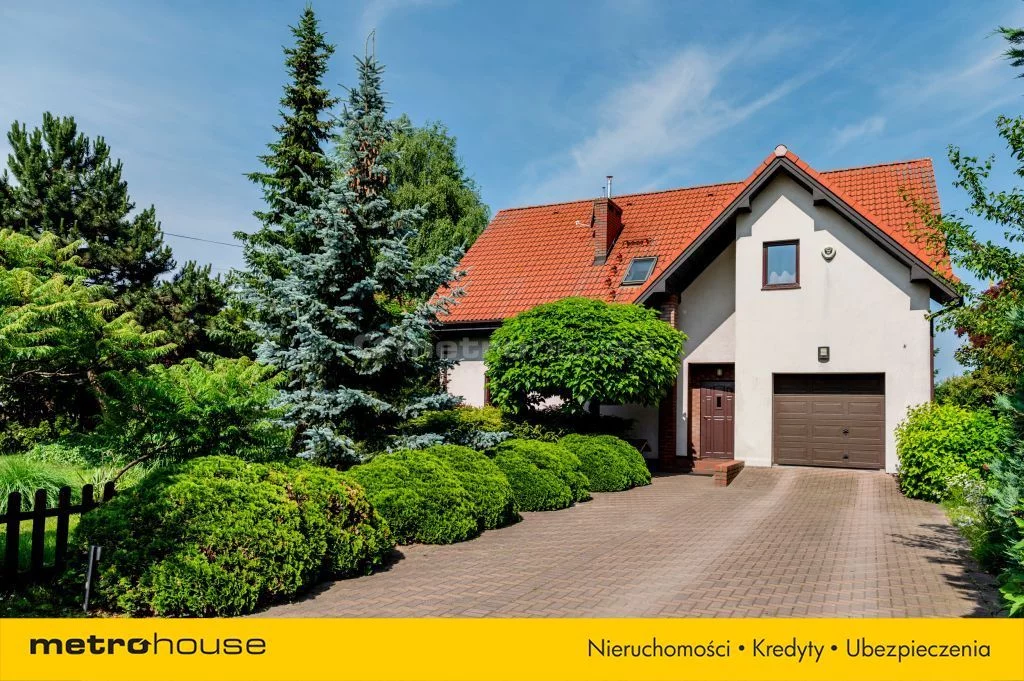 SDPELU478 - zdjęcie nr 0