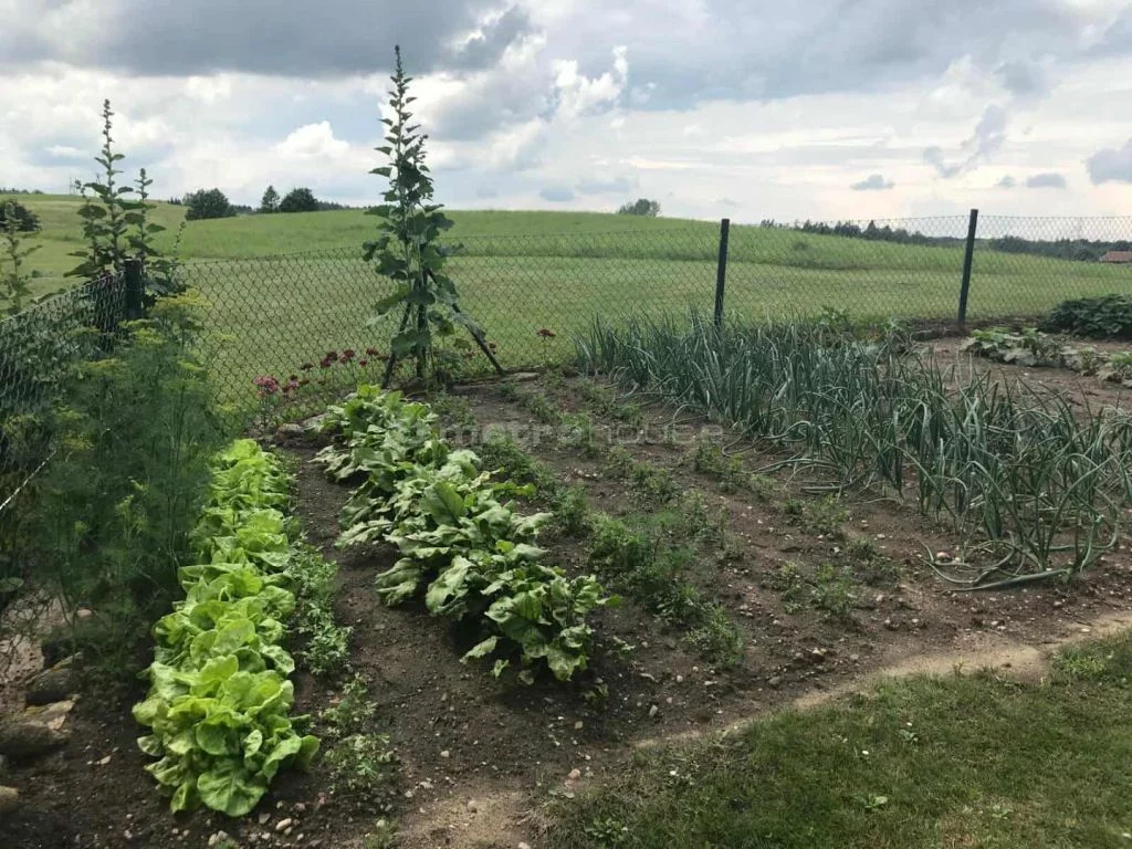 Dom 269,00 m², oferta nr , SDRILI742, Mątki