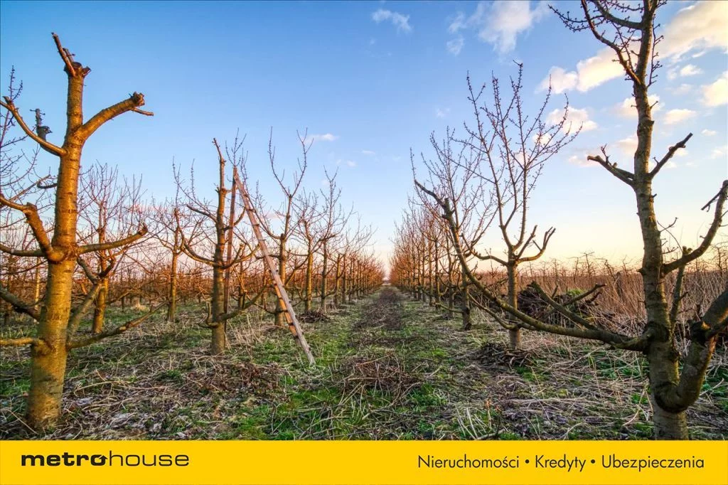 Dom 160,23 m², oferta nr , GYMO881, Nowy Kaleń