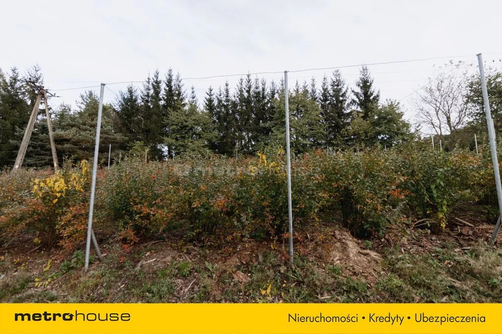 Dom 350,00 m², oferta nr , SDKOPO634, Raszków
