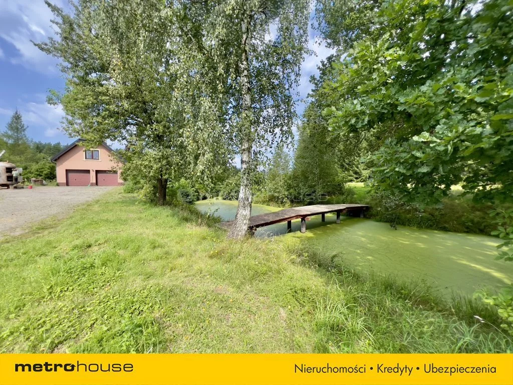SDGIGI893 - zdjęcie nr 4