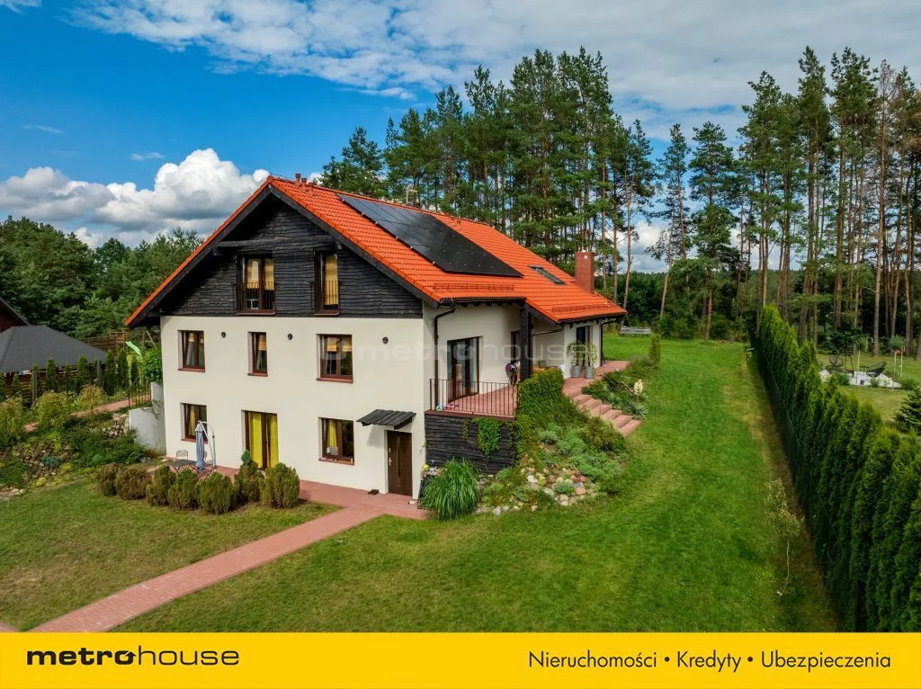 SDNIVY537 - zdjęcie nr 3