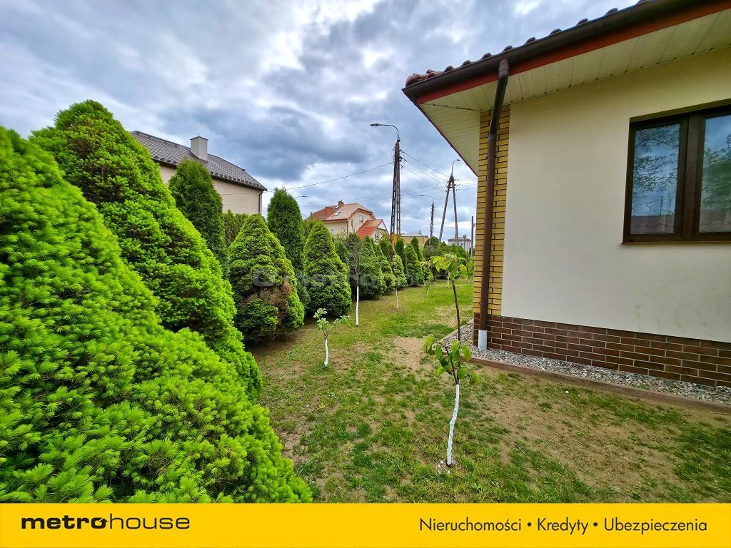 SDDEJI638 - zdjęcie nr 4