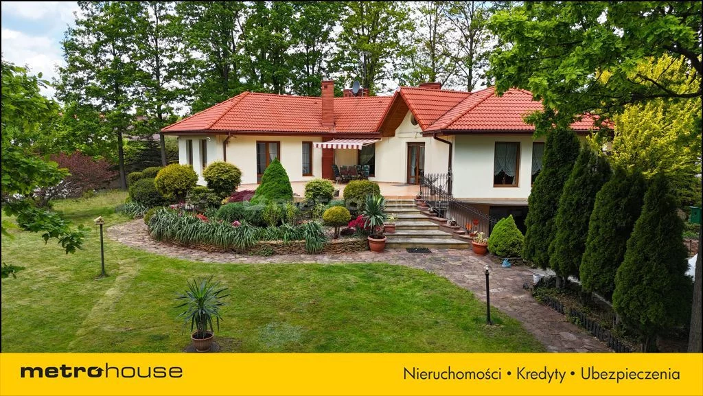 SDPOHU496 - zdjęcie nr 1