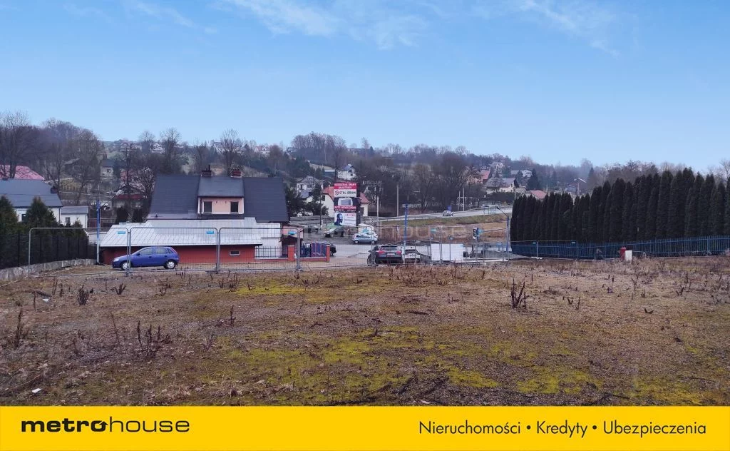SDZOFE204 - zdjęcie nr 4