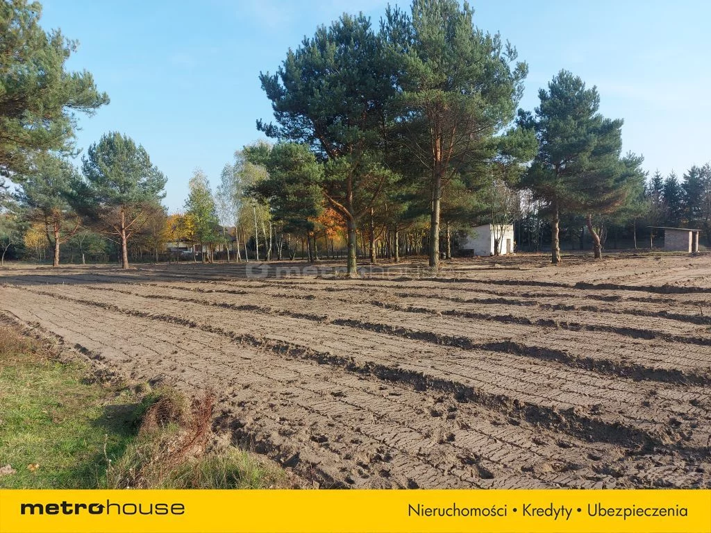 Działka 3 900,00 m², oferta nr , SGCUTY670, Radziejowice-Parcel, Akacjowa
