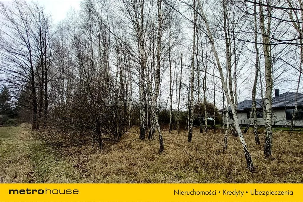 Działka 2 194,00 m², oferta nr , LEWY959, Aleksandrów Łódzki