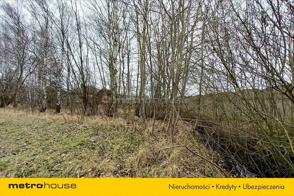Działka 2 194,00 m², oferta nr , LEWY959, Aleksandrów Łódzki