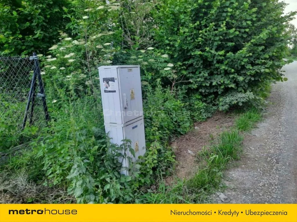 SOJO675 - zdjęcie nr 1