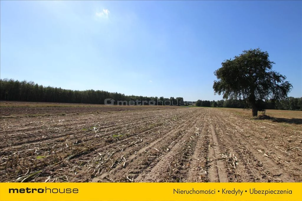 Działka 14 000,00 m², oferta nr , TOJO258, Anielin