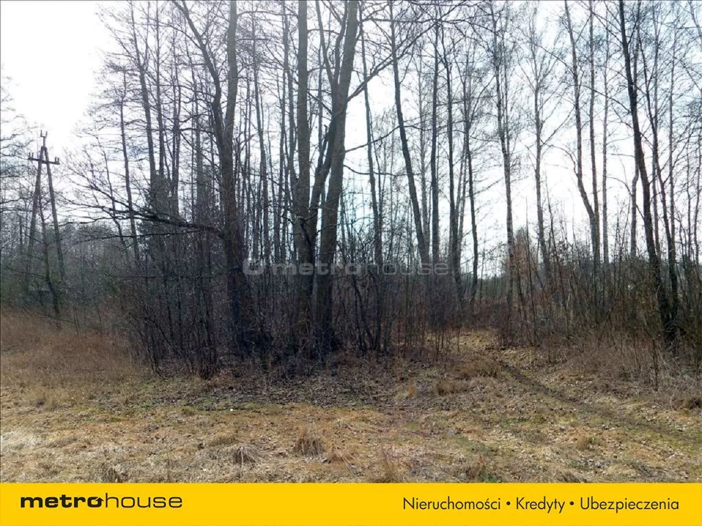 Działka 65 100,00 m², oferta nr , BECI264, Arkadia