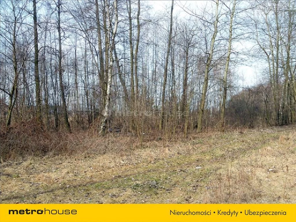 BECI264 - zdjęcie nr 2