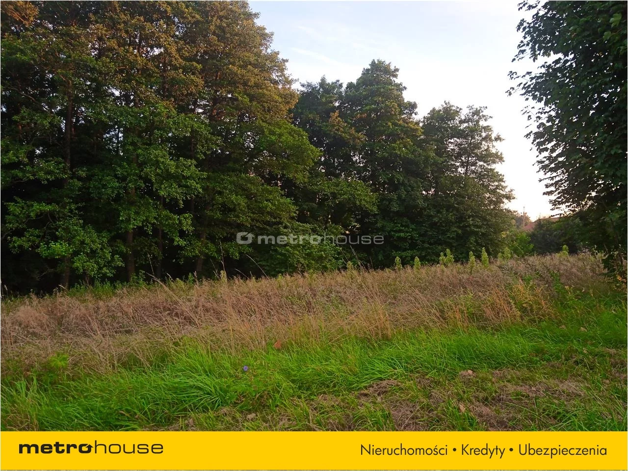 Działka 5 600,00 m², oferta nr , TUBE354, Bachórzec