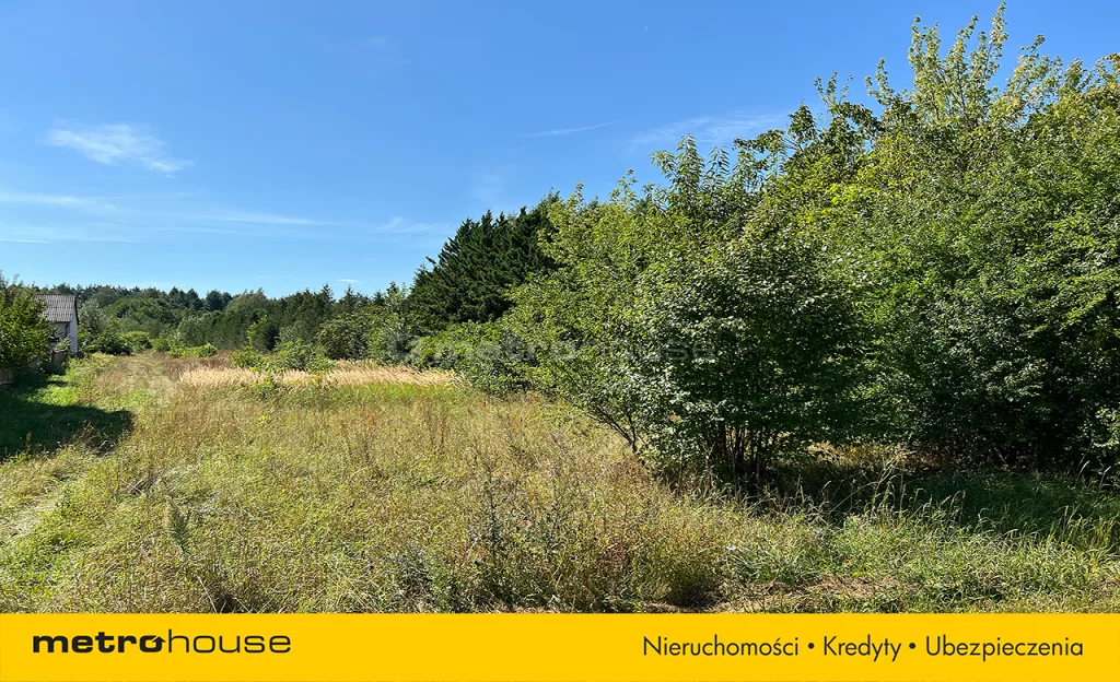 KOSA694 - zdjęcie nr 1