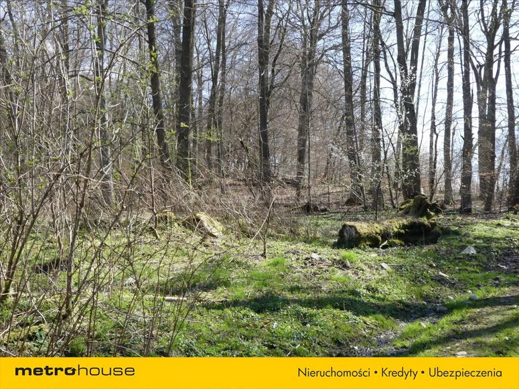 Działka 19 000,00 m², oferta nr , TATI530, Barcino