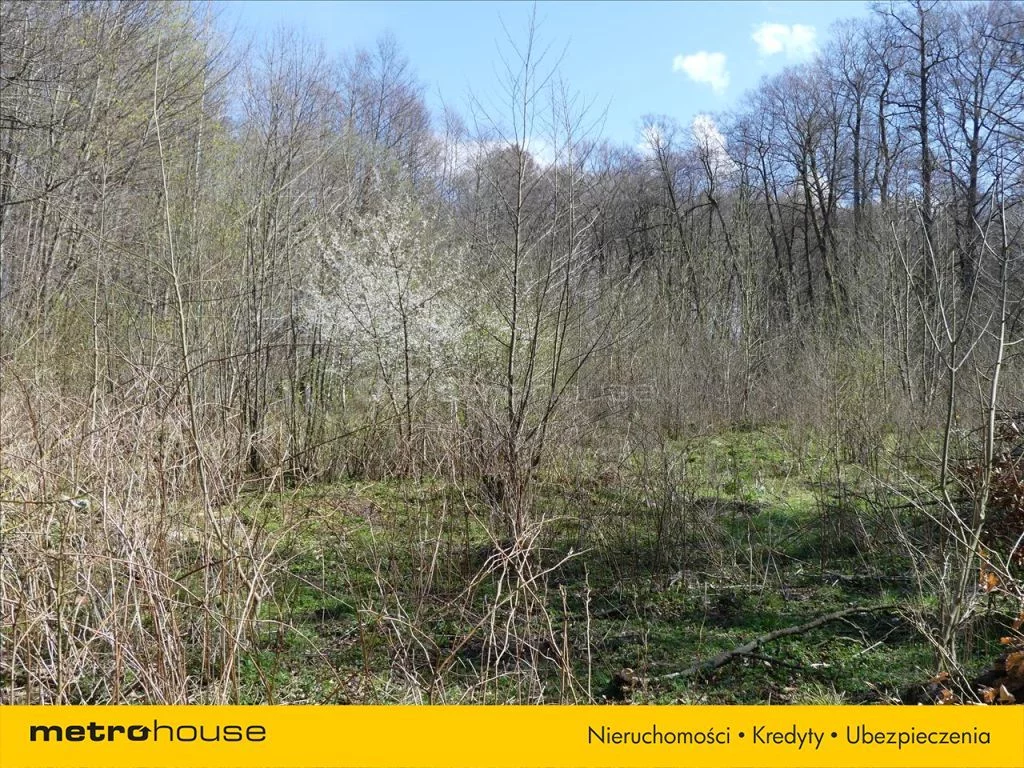 Działka 19 000,00 m², oferta nr , TATI530, Barcino